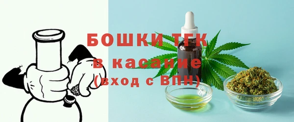 дмт Абаза