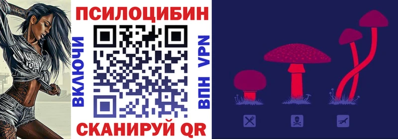 Псилоцибиновые грибы Magic Shrooms Сысерть